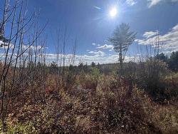 5896 Highway 8  Milford, NS B0S 1A0