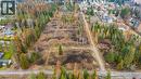 Lot B Henderson Avenue, Salmo, BC 
