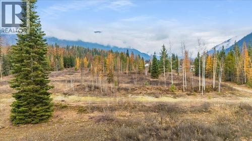 Lot B Henderson Avenue, Salmo, BC 