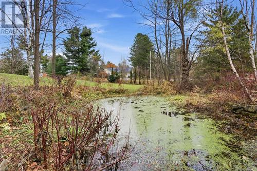 5600 Cedar Springs Road, Burlington, ON - Outdoor With View