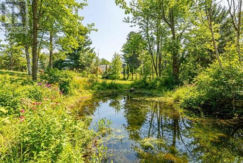 5600 Cedar Springs Road, Burlington, ON - Outdoor With View