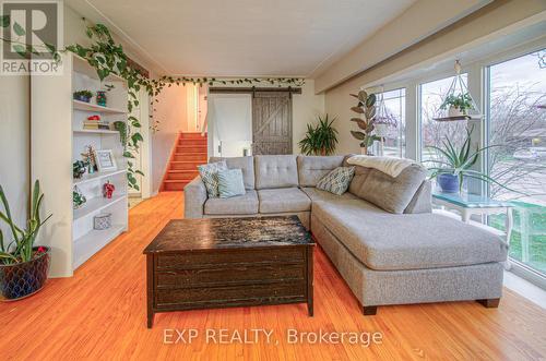 148 Strathcona Crescent, Kitchener, ON - Indoor Photo Showing Living Room