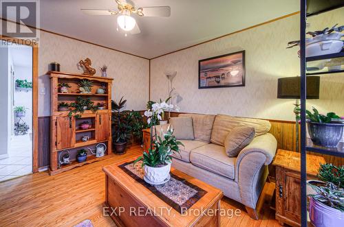 148 Strathcona Crescent, Kitchener, ON - Indoor Photo Showing Living Room