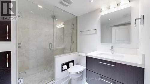 Lower - 14 Hedges Boulevard, Toronto, ON - Indoor Photo Showing Bathroom
