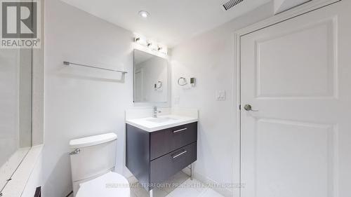 Lower - 14 Hedges Boulevard, Toronto, ON - Indoor Photo Showing Bathroom