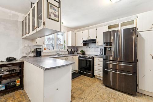 Kitchen - 117 Rue Ste-Rose, Gatineau (Gatineau), QC - Indoor Photo Showing Kitchen