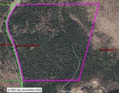 Ch. Gagnon  Amherst, QC J0T 2L0