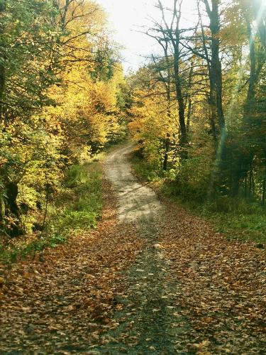 Autre - Ch. Gagnon, Amherst, QC 