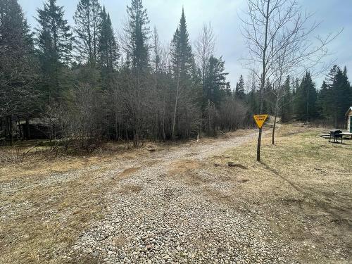 Extérieur - Ch. Gagnon, Amherst, QC 