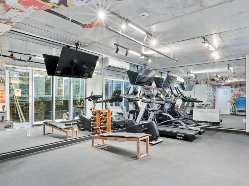 Salle d'exercice - 309-1406 Rue Ste-Élisabeth, Montréal (Ville-Marie), QC - Indoor Photo Showing Gym Room
