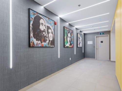 Hall d'entrée/Vestibule - 309-1406 Rue Ste-Élisabeth, Montréal (Ville-Marie), QC - Indoor Photo Showing Other Room