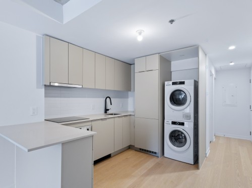 Cuisine - 309-1406 Rue Ste-Élisabeth, Montréal (Ville-Marie), QC - Indoor Photo Showing Laundry Room