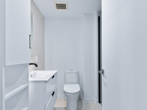 Salle de bains - 309-1406 Rue Ste-Élisabeth, Montréal (Ville-Marie), QC - Indoor Photo Showing Bathroom
