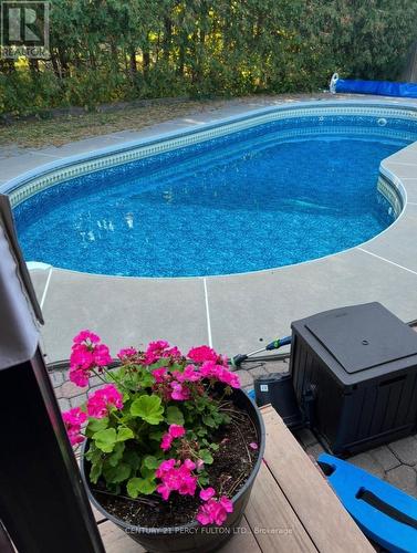 1994 Spruce Hill Road, Pickering, ON - Outdoor With In Ground Pool With Backyard