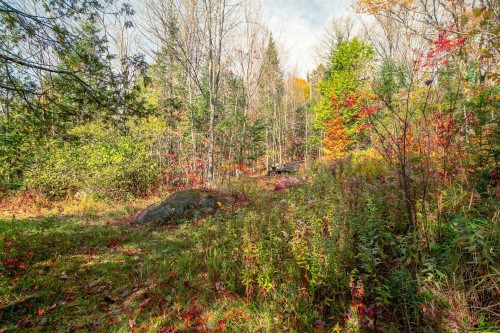 Terre/Terrain - Ch. Du Lac-Dufresne, Lantier, QC 
