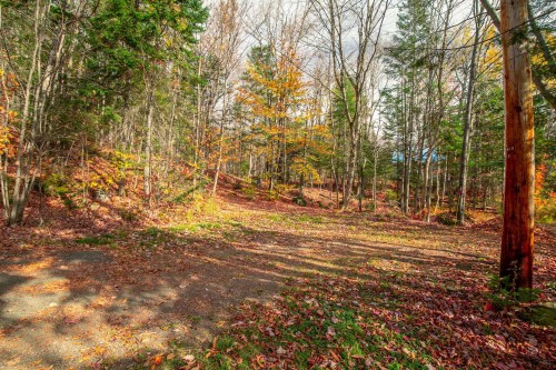 Terre/Terrain - Ch. Du Lac-Dufresne, Lantier, QC 