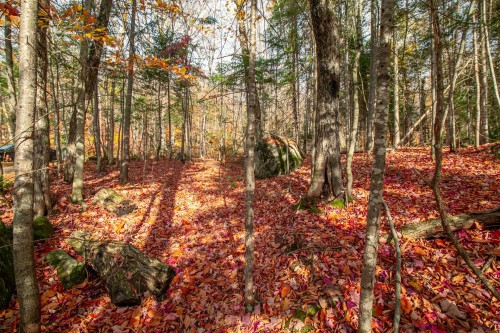 Terre/Terrain - Ch. Du Lac-Dufresne, Lantier, QC 