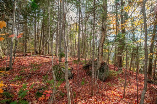 Terre/Terrain - Ch. Du Lac-Dufresne, Lantier, QC 
