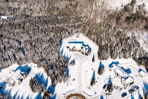 Extérieur - 1217 Ch. Du Millepertuis, Piedmont, QC - Outdoor With View