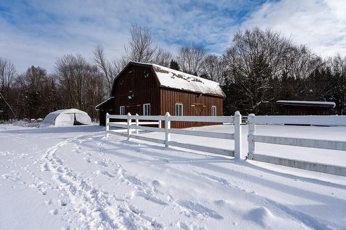 Stable - 320 11E Rang, Wickham, QC - Outdoor