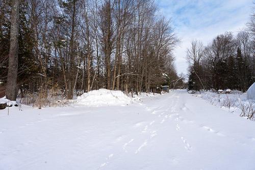 Land/Lot - 320 11E Rang, Wickham, QC - Outdoor With View