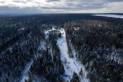Woodland - 320 11E Rang, Wickham, QC - Outdoor With View