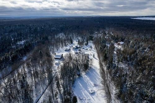 Woodland - 320 11E Rang, Wickham, QC - Outdoor With View