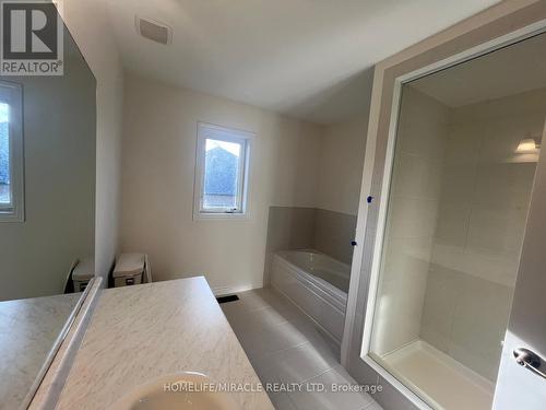 256 Pottruff Road, Brant, ON - Indoor Photo Showing Bathroom