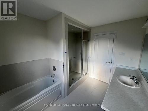 256 Pottruff Road, Brant, ON - Indoor Photo Showing Bathroom