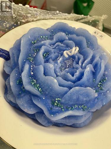 174 Main Street, Cambridge, ON 