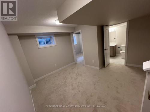 376 Les Emmerson Drive, Ottawa, ON - Indoor Photo Showing Basement