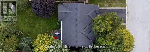 5 Sugar Maple Lane, Wasaga Beach, ON - Outdoor