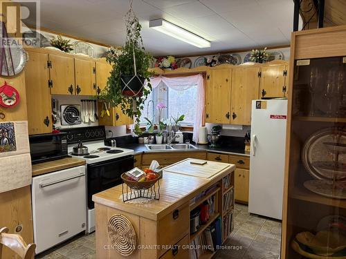 198 Gaebel Road, Bancroft (Bancroft Ward), ON - Indoor Photo Showing Kitchen With Double Sink
