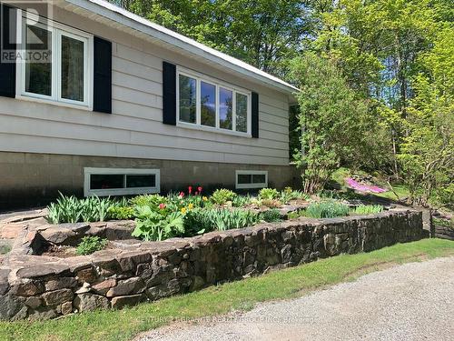 198 Gaebel Road, Bancroft (Bancroft Ward), ON - Outdoor