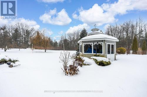 2 Mills Circle, Springwater, ON - Outdoor