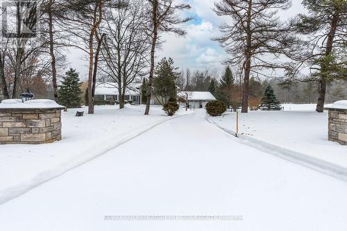 2 Mills Circle, Springwater, ON - Outdoor