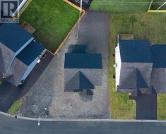 11 Dragonfly - As of November 19, 2025 - 