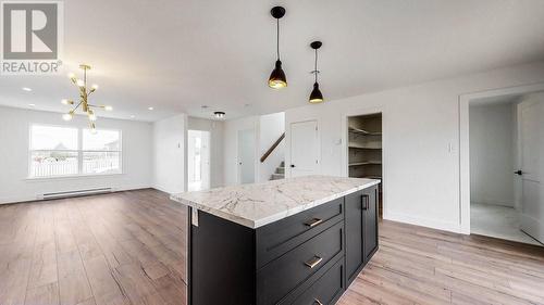 11 Dragonfly Place, St. John'S, NL - Indoor Photo Showing Other Room