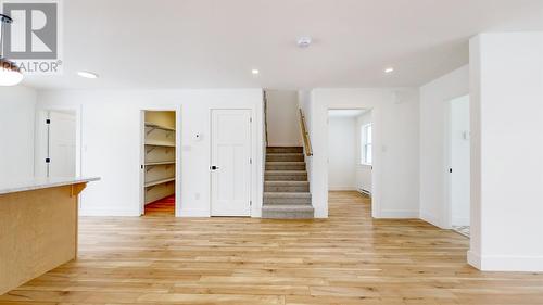 11 Dragonfly Place, St. John'S, NL - Indoor Photo Showing Other Room