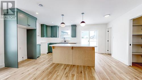 11 Dragonfly Place, St. John'S, NL - Indoor Photo Showing Kitchen