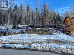 1018 SILVERTIP Road  Rossland, BC V0G 1Y0
