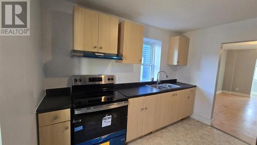 136 Biggings Ave, Sault Ste. Marie, ON - Indoor Photo Showing Kitchen With Double Sink