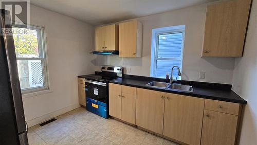 136 Biggings Ave, Sault Ste. Marie, ON - Indoor Photo Showing Kitchen With Double Sink