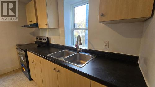 136 Biggings Ave, Sault Ste. Marie, ON - Indoor Photo Showing Kitchen With Double Sink