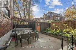 Backyard with raspberries - 