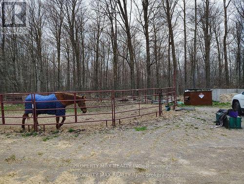 6680 - 6600&6680 Best Road, Clarington, ON - Outdoor