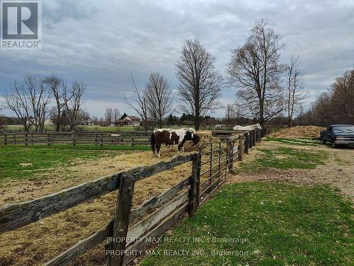 6680 - 6600&6680 Best Road, Clarington, ON - Outdoor With View