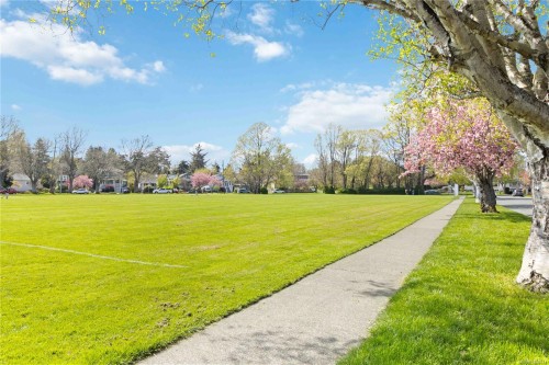 3-1434 Brooke St, Victoria, BC 