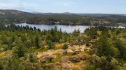 140 Petworth Dr  Saanich, BC V9E 1J4