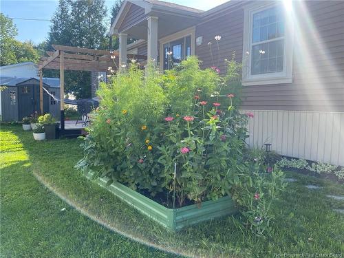 284 Magnolia Lane, Fredericton, NB 